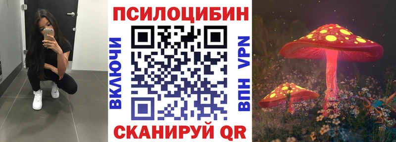 Псилоцибиновые грибы ЛСД  Циолковский 